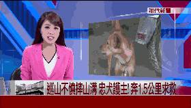 主人巡山不慎傷到脊椎，狗狗見救人不成轉身就跑，主人心涼直呼：白養你了