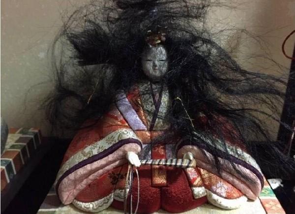 女兒節娃娃被貓主子玩壞了 奴才回家秒嚇歪：何方妖孽？