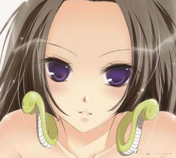 《海賊王》第二屆辯論大賽，今日辯題：娜美女帝誰會成為路飛妻子
