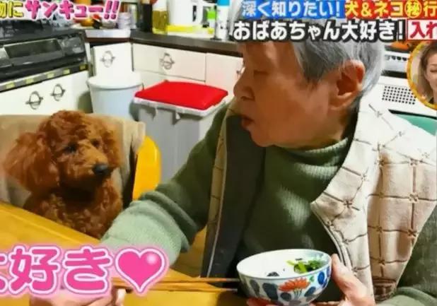 小泰迪每天晚上偷偷戴奶奶假牙，心理醫生解釋因為愛，奶奶感動又羞愧