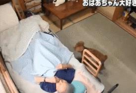 小泰迪每天晚上偷偷戴奶奶假牙，心理醫生解釋因為愛，奶奶感動又羞愧