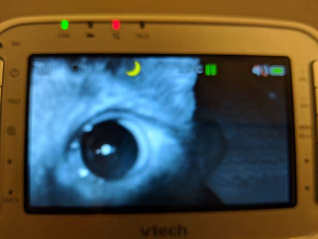 馬麻從嬰兒監視器看到「最溫暖畫面」　網融化：最強的24小時保護
