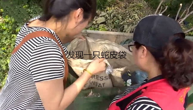女子下樓倒垃圾，聽到垃圾桶內傳出異響，打開蛇皮袋後破口大罵