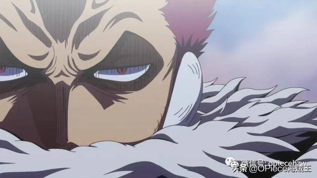 《海賊王》人氣飆升的卡二，一個把家人放在第一位的真男人！