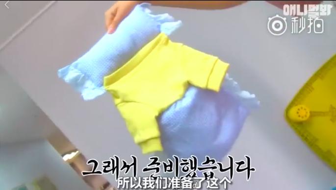 狗狗把自己當人類最愛躺平睡　主人擔心求醫...「治療方式」萌翻了 