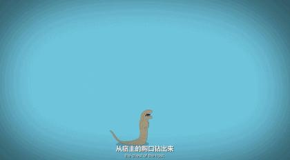 3分鐘，看透全宇宙最著名的外星人