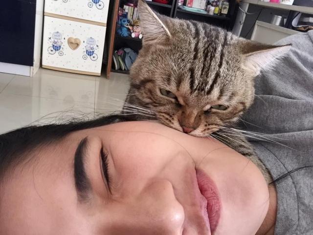 家貓見主人在睡覺，上前對著他亮出貓爪，接下來的動作暖心了！