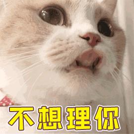 開心拆箱「主子的新床」！一見到「超奇葩使用方式」網笑：皇上好棒棒～
