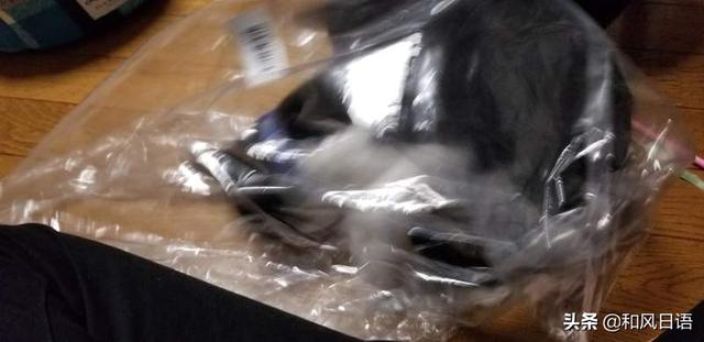 開心拆箱「主子的新床」！一見到「超奇葩使用方式」網笑：皇上好棒棒～
