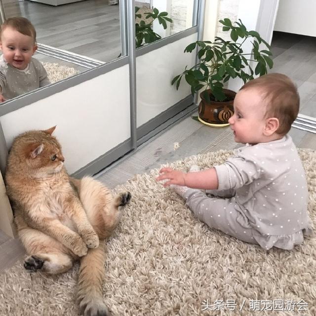 大貓貓遇上小baby，態度超可愛，表情很無耐