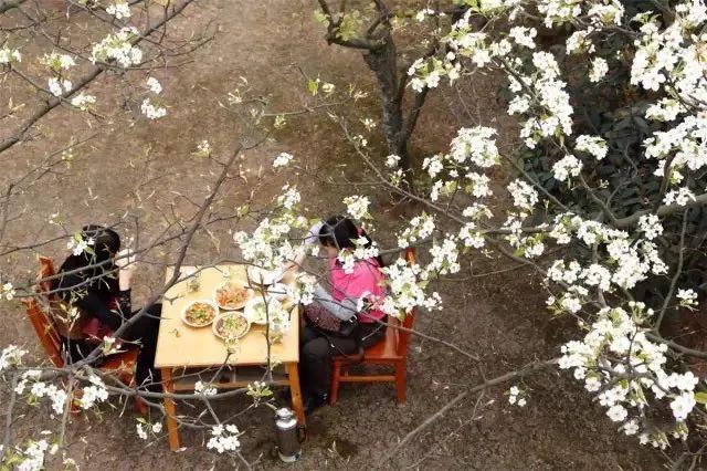 距成都45公里，這座四川面積最小的小城，坐擁美景無數，太低調！