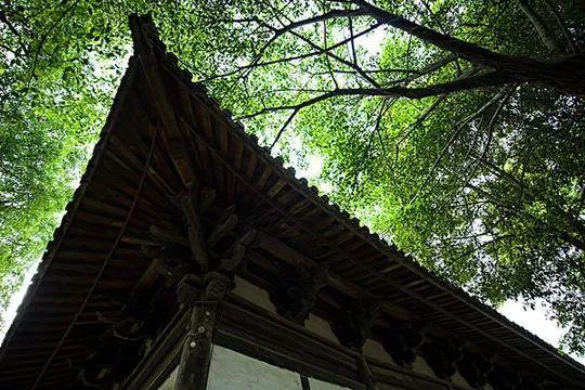 距成都45公里，這座四川面積最小的小城，坐擁美景無數，太低調！