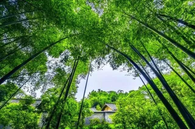 距成都45公里，這座四川面積最小的小城，坐擁美景無數，太低調！