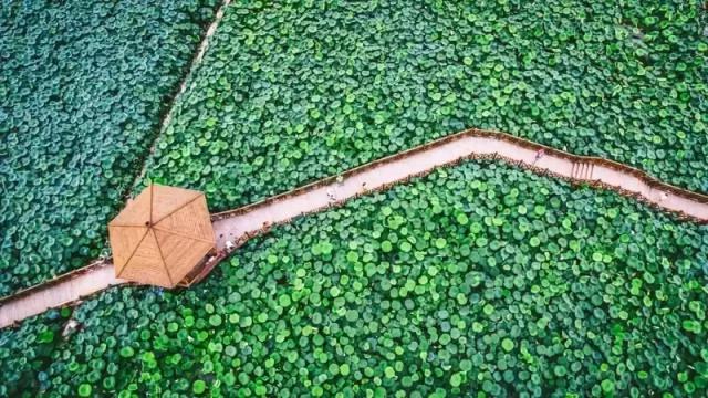 距成都45公里，這座四川面積最小的小城，坐擁美景無數，太低調！