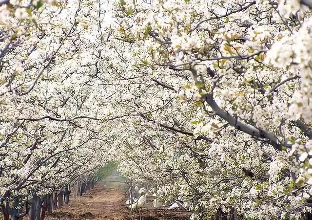 距成都45公里，這座四川面積最小的小城，坐擁美景無數，太低調！