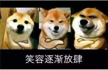 動漫里有哪些致命的官方吐槽呢？