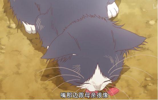 新番《同居人是貓》：一日養貓，終身想貓，你別騙我當個貓奴啊 