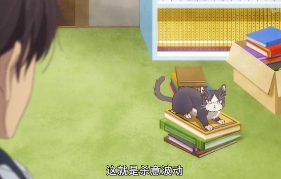 新番《同居人是貓》：一日養貓，終身想貓，你別騙我當個貓奴啊 