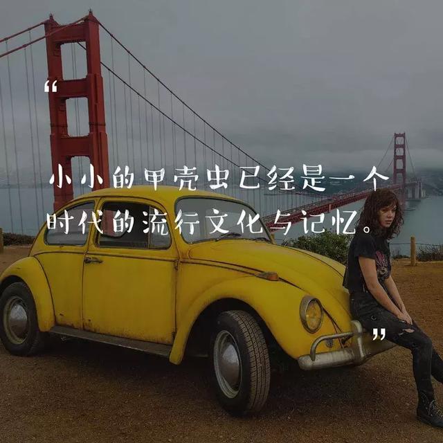 道理我都懂，但大黃蜂為什麼這麼萌？