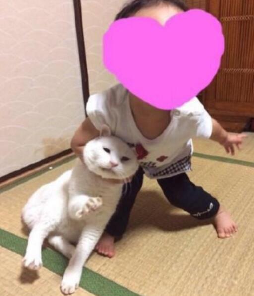 再彪悍的貓也有被降服的一天，比如說當它們遇上了熊孩子