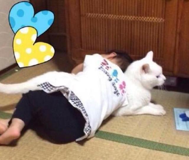 再彪悍的貓也有被降服的一天，比如說當它們遇上了熊孩子