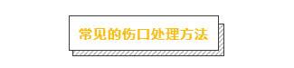 主人必學急救方法，關鍵時刻救狗一命