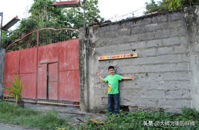 不以善小而不為！9歲少年搭建避難所拯救流浪狗，他的愛心很單純