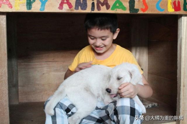不以善小而不為！9歲少年搭建避難所拯救流浪狗，他的愛心很單純
