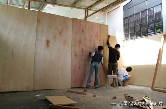 不以善小而不為！9歲少年搭建避難所拯救流浪狗，他的愛心很單純