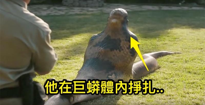 男子穿上超高科技的「鐵衣」 大膽挑戰巨蟒「生吞活剝」的極限， 沒想到他的下場，把所有人都嚇傻了