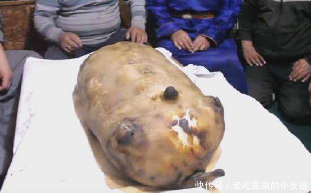川藏線上的「大口袋」切開後傻眼，石頭就占了一大半，1200值嗎？