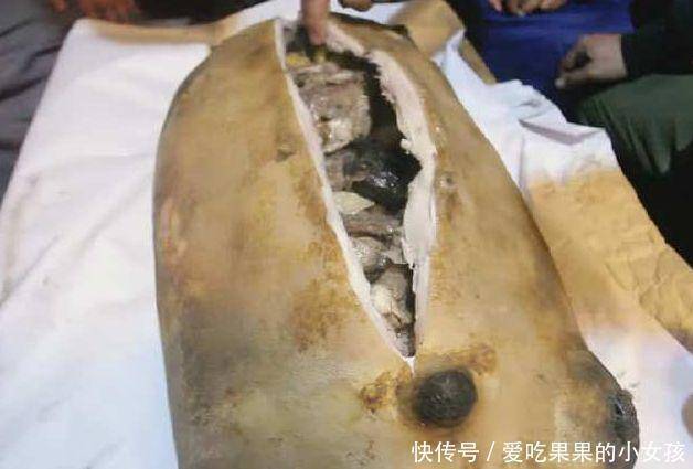 川藏線上的「大口袋」切開後傻眼，石頭就占了一大半，1200值嗎？