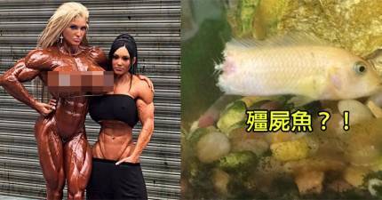 這21張奇特照片的會讓你看完後可能覺得頭暈腦脹需要去寺廟「收驚」！