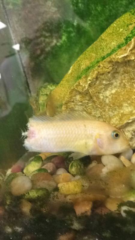 這21張奇特照片的會讓你看完後可能覺得頭暈腦脹需要去寺廟「收驚」！