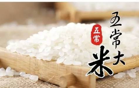 《紅樓夢》裡賈母都捨不得吃的大米，18000元/公斤，全球最珍貴5種大米里排第一