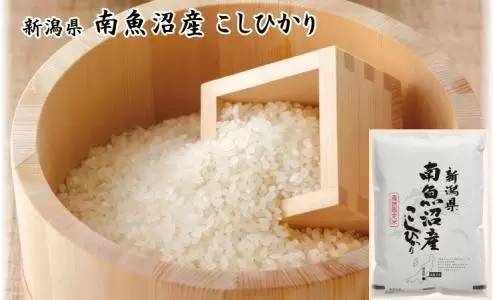 《紅樓夢》裡賈母都捨不得吃的大米，18000元/公斤，全球最珍貴5種大米里排第一