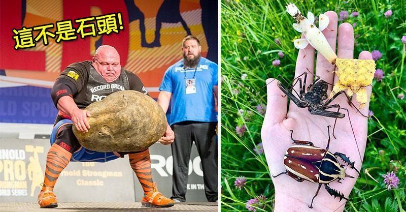 25張證明「你的眼界其實很狹窄」的震撼驚奇照　森林透明屋美得太夢幻！~~1. 身邊沒有出過國的朋友都會笑言