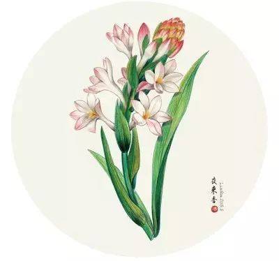 植物風水學知識，庭院種樹必知！