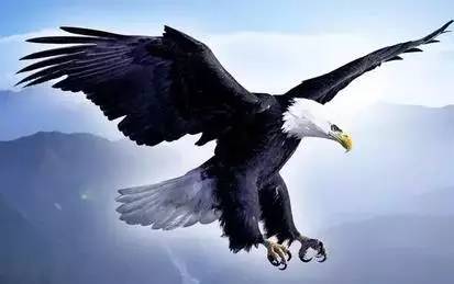【性格命運測試】看看你的生日，測你的性格代表什麼鳥？做個測試吧！