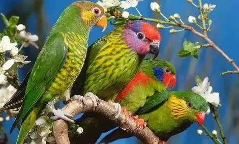 【性格命運測試】看看你的生日，測你的性格代表什麼鳥？做個測試吧！