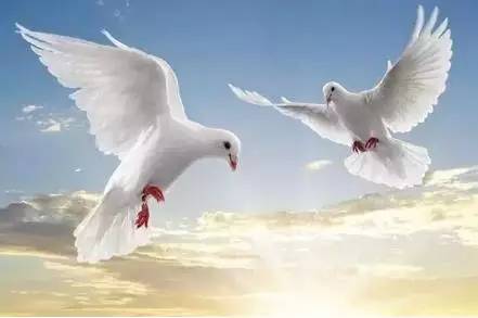 【性格命運測試】看看你的生日，測你的性格代表什麼鳥？做個測試吧！