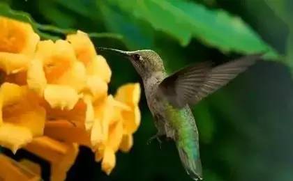 【性格命運測試】看看你的生日，測你的性格代表什麼鳥？做個測試吧！