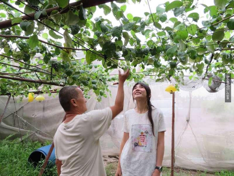 分隔20年…寄養童「回家」見到養父母還留著她照片，爆哭下跪叩謝「沒有你們就沒現在的我」！