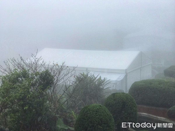 嚴凱泰低調悄悄下葬，入土為安「長眠於父母身旁」孝心感人，眾人不舍雨中送行，難忍悲痛