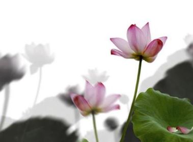 心理學：身份證有幾個2？「看穿」了你的「性格」和「婚姻」！ 