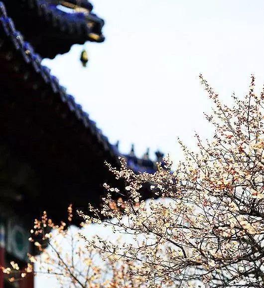 俗話說：「床不離七、棺不離八、桌不離九」是什麼意思？古人的智慧不可小窺 