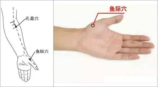 經常半夜容易醒？是身體經絡堵住了，教你【敲一敲】手腳，疏通肝經肺經，遠離失眠！