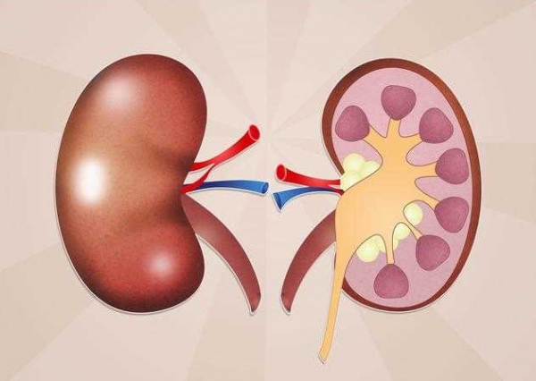 「長期吃西藥會傷腎？」釐清以下5大迷思，避免終身洗腎！