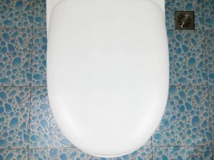 馬桶水箱裡放一個塑料瓶，奇蹟發生了不髒不臭還省水 