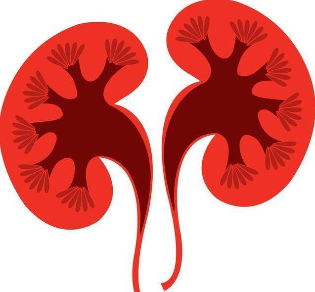 腎好身體才健康，保養腎臟只需謹記睡前【二不要】